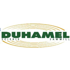 Duhamel